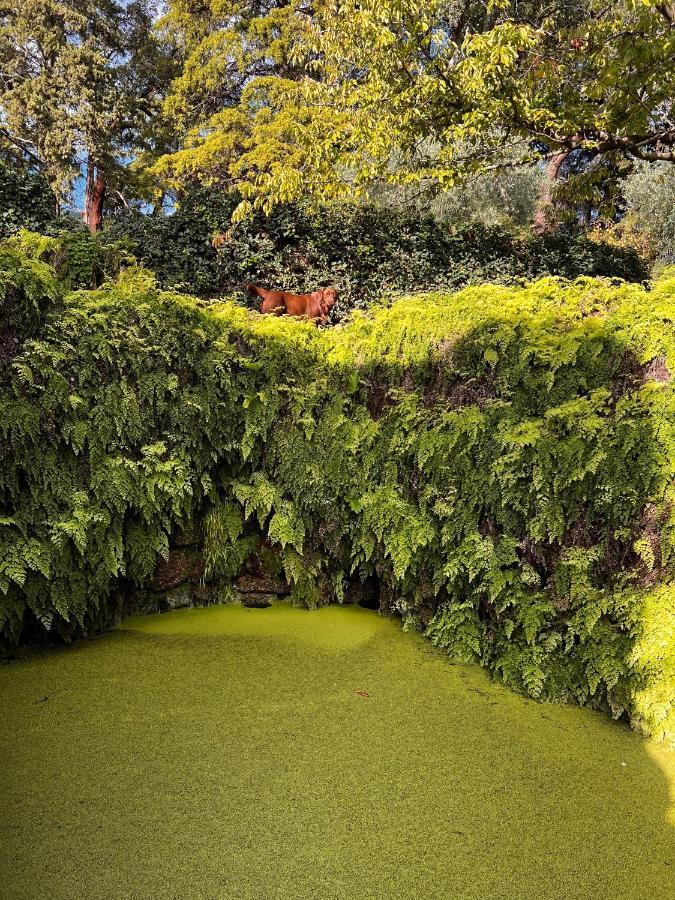 Quinta Da Porta - Solar De Vale De Prazeres Villa Luaran gambar