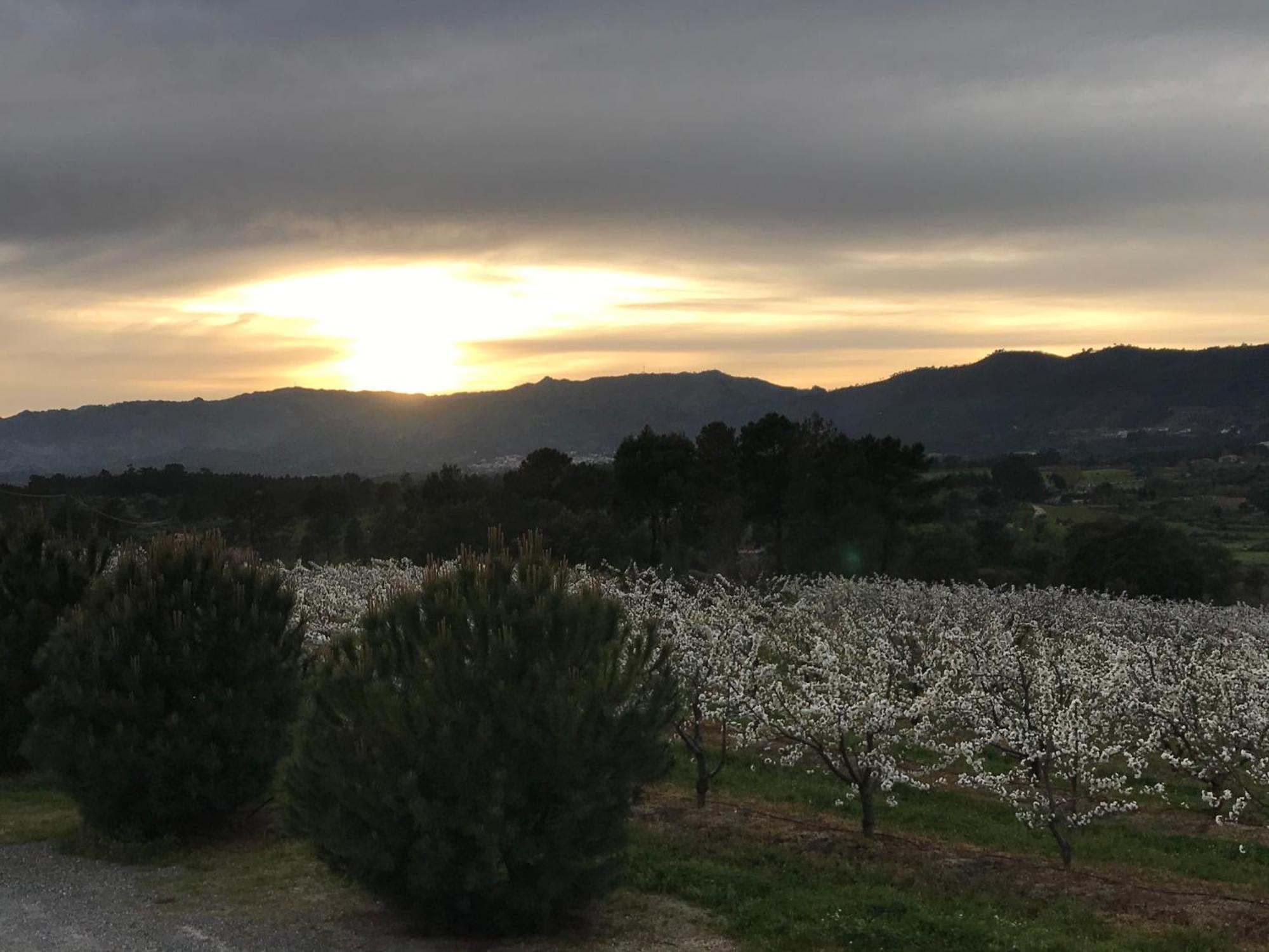 Quinta Da Porta - Solar De Vale De Prazeres Villa Luaran gambar