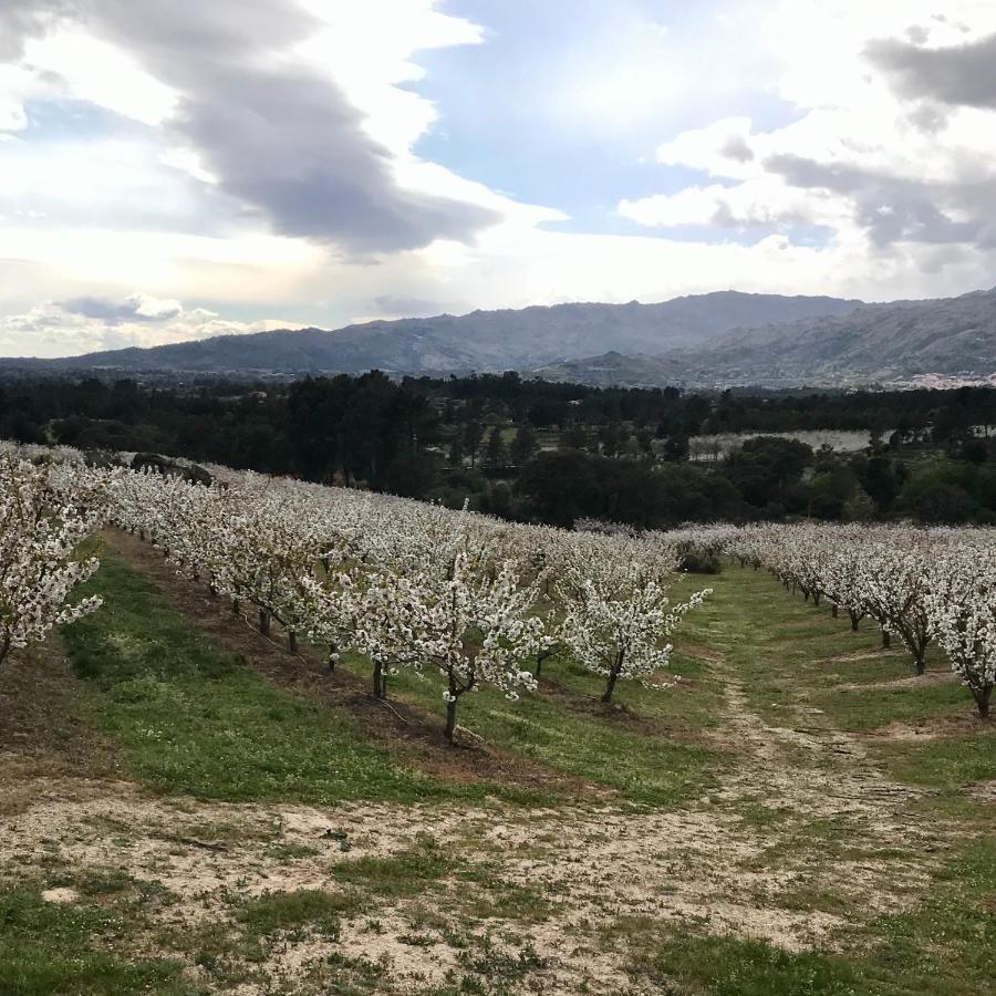 Quinta Da Porta - Solar De Vale De Prazeres Villa Luaran gambar