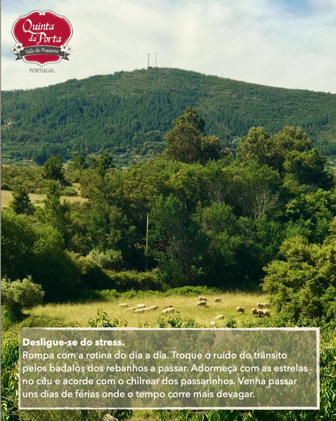 Quinta Da Porta - Solar De Vale De Prazeres Villa Luaran gambar